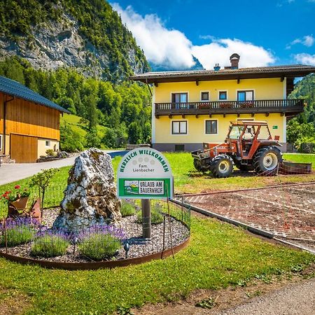 クヒル Hinterkellaubauer Bed & Breakfast エクステリア 写真